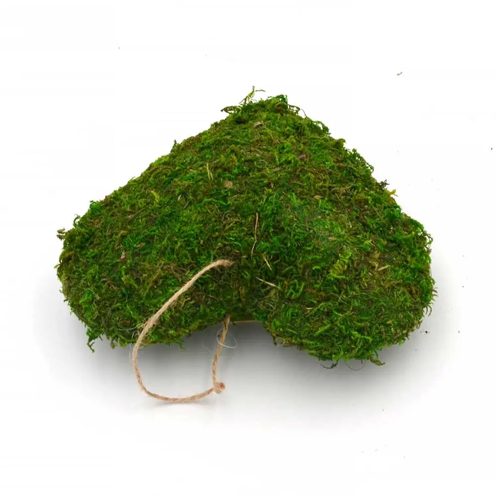 
heart-shaped Three-dimensional hanging pieces loving heart moss garden decoration hanging 