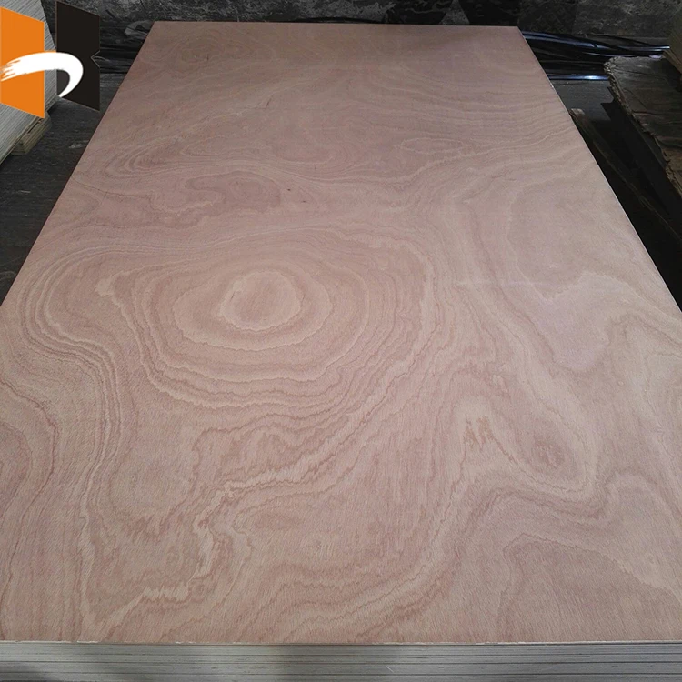 3mm 4mm Decorative Natural Commercial Sapele Mahogany Plywood Sheets