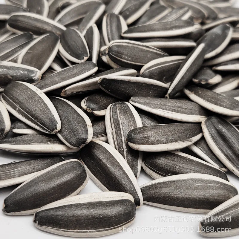 
Chinese factory supply top grade quality seeds sunflower 361 