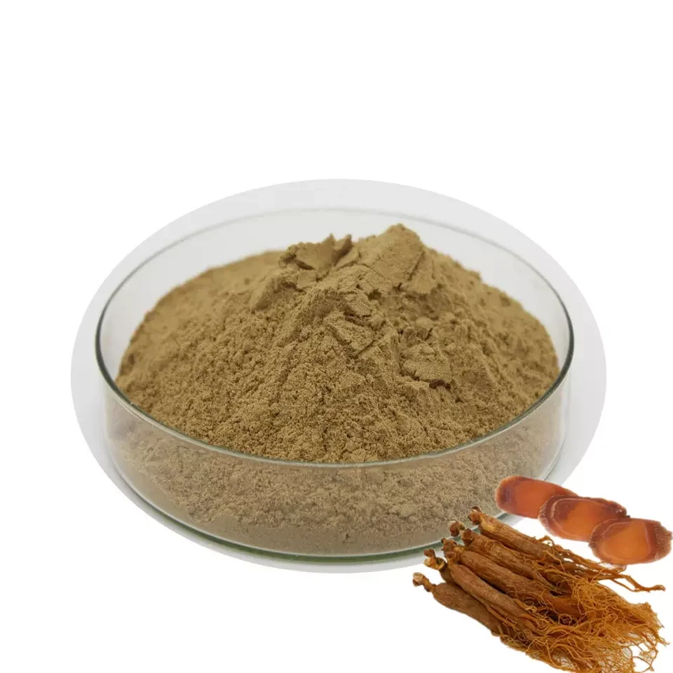 Hot Sale Korean Red Ginseng Powder 10% Ginsenosides