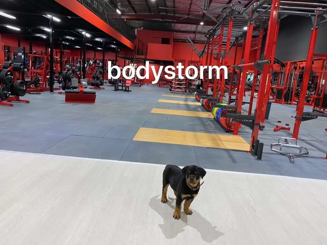 Commercial Gym Equipment Comprehensive Training Machine Safe Fitness for