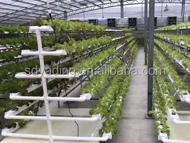 Agricultural NTF Hydroponic Growing System