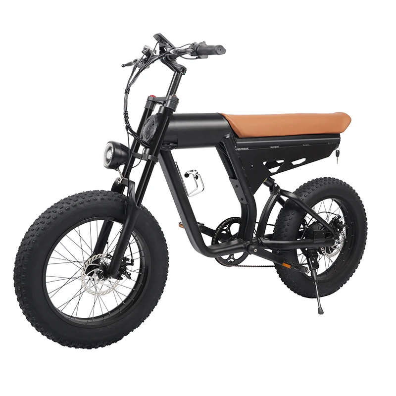 factory OEM US EU Warehouse Cheap Electr bike snow  beach electric city hybrid fat tire mountain e Bike 1000w for bafang