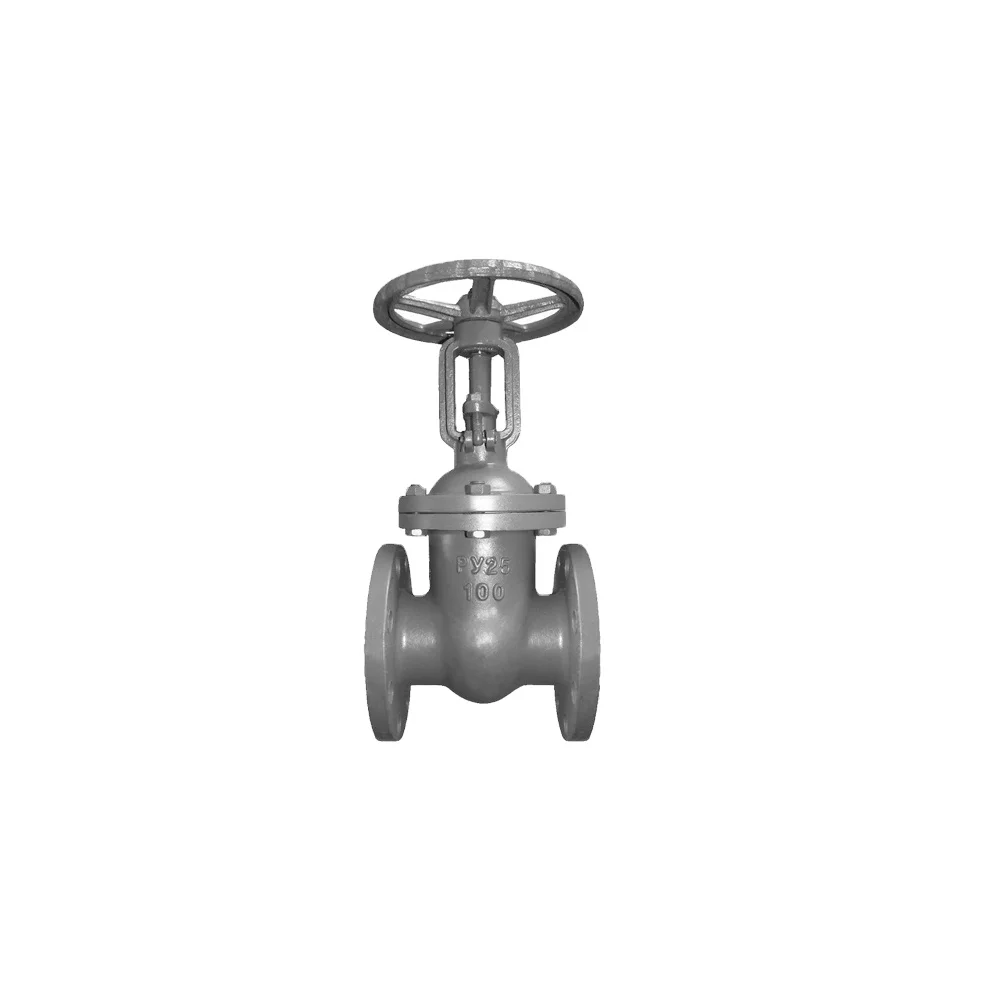 ANSI Superior Anti corrision WCB Body Monel Seat light body Durable Gate Valve DN150