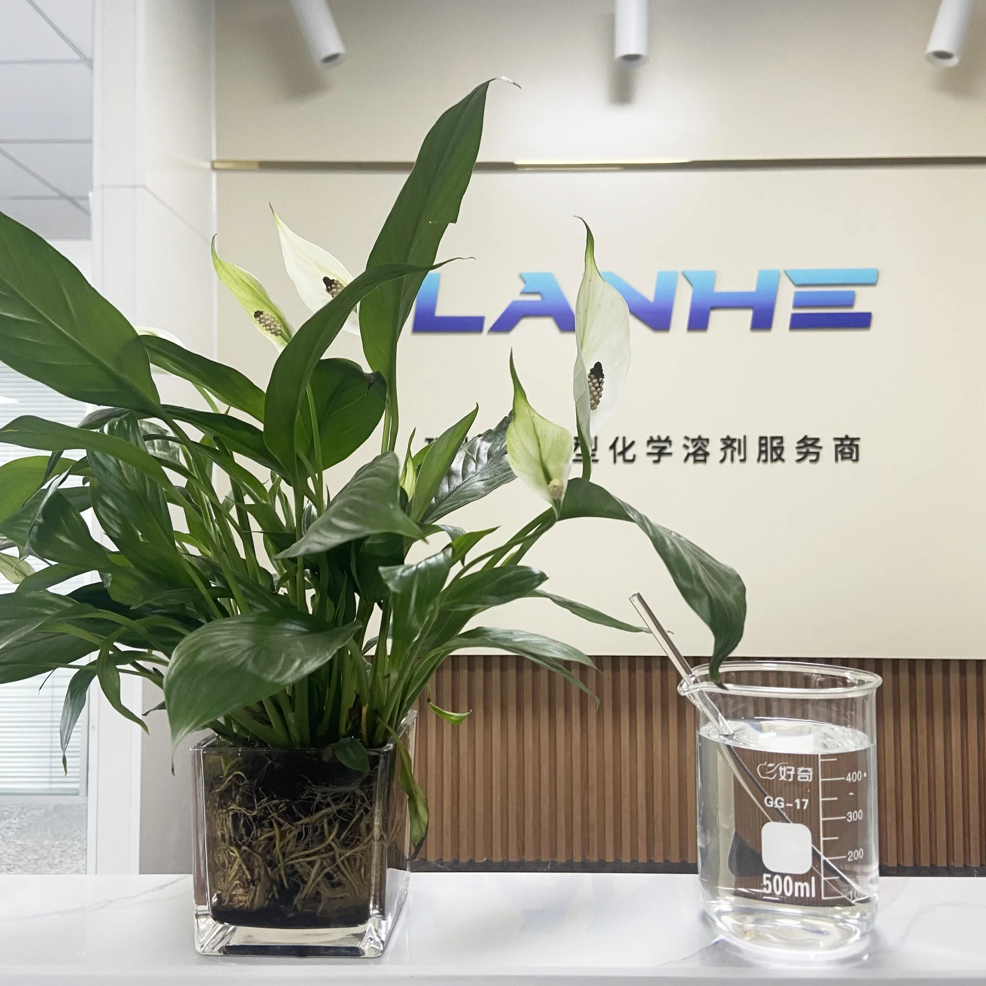 mpg mono propylene glycol pharmaceutical grade For solvent for seasonings and pigments