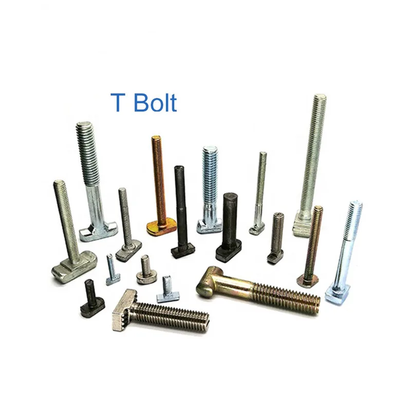 Porte Model Stainless Steel T-Bolts SS304 Hammer Head Hardware Fasteners M8 M10 Interior Kits