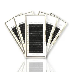 16Rows Individual Eyelash Extension for Professional Lash C/D/DD Fake Eyelashes Natural Soft Faux Mink Black Matte Maquiagem