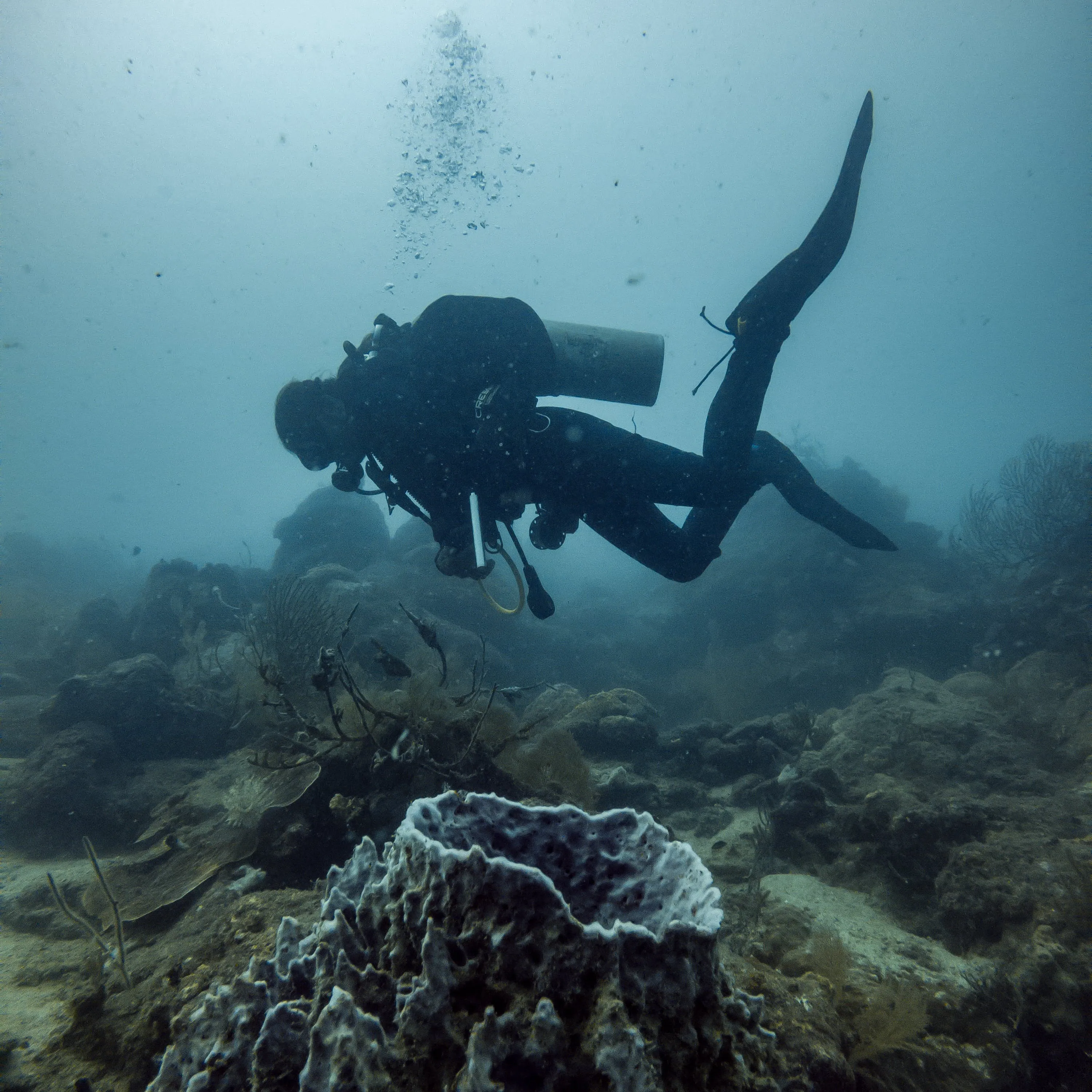 New Neoprene Adjustable BodyBoard Padded Surf Board Cuff Strap Leash Ankle Heel Protection Support System Fin Tethers Savers