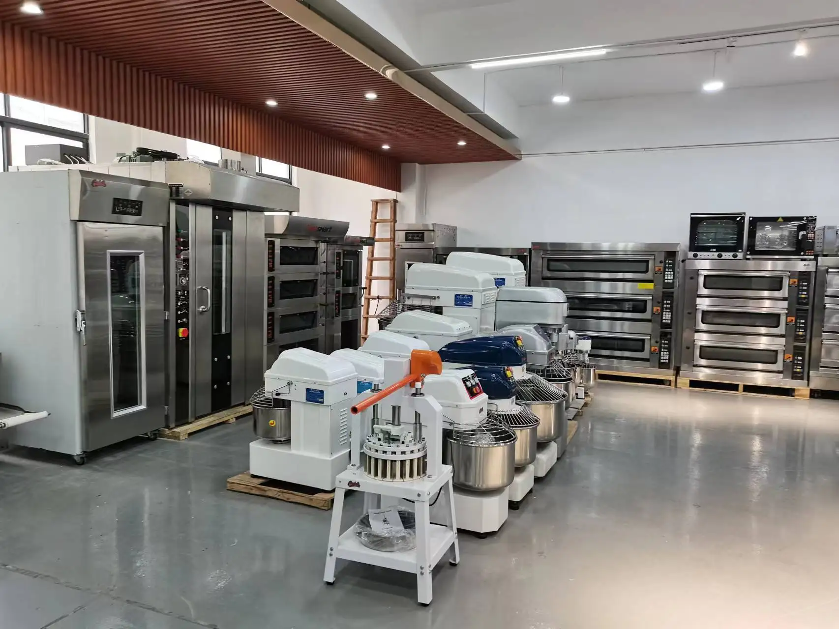 _20221202104608 - .jpg