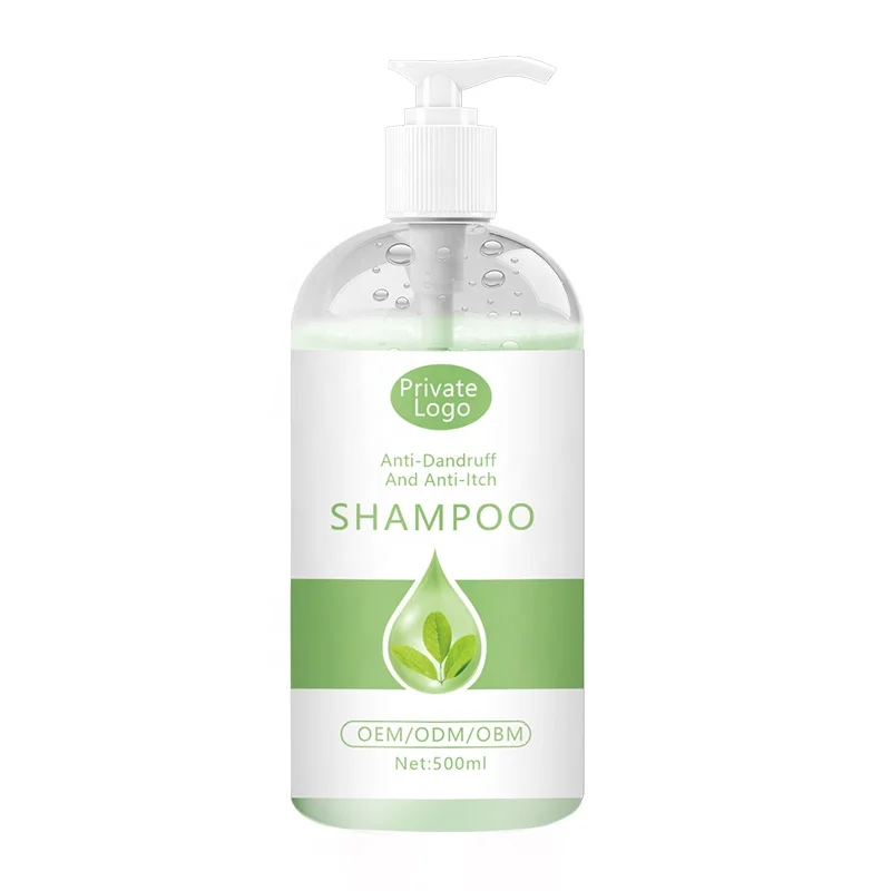 OEM Factory New Formula Green Tea Refreshing Hair Shampoo Bulk Anti Scalp Anti-Dandruff Shampoo Dry Hair Moisturizing Anti-Itch