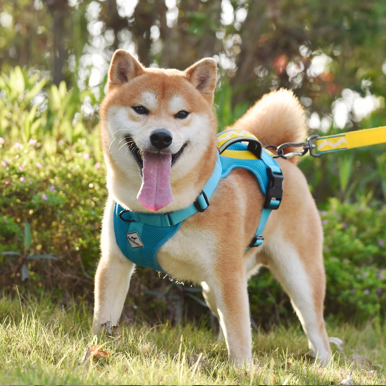 BlackDoggy Designer Pet 2021 Clothes Dog Harness Vest with Soft Neoprene Handle