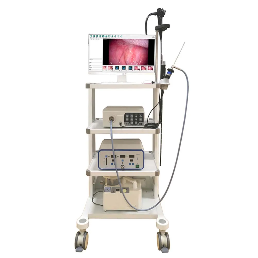 Gastroscope And Colonoscope Medical Endoscopy System Endoscope Gastroscope Veterinary Endoscope Dog Endoscopic Machine Tower
