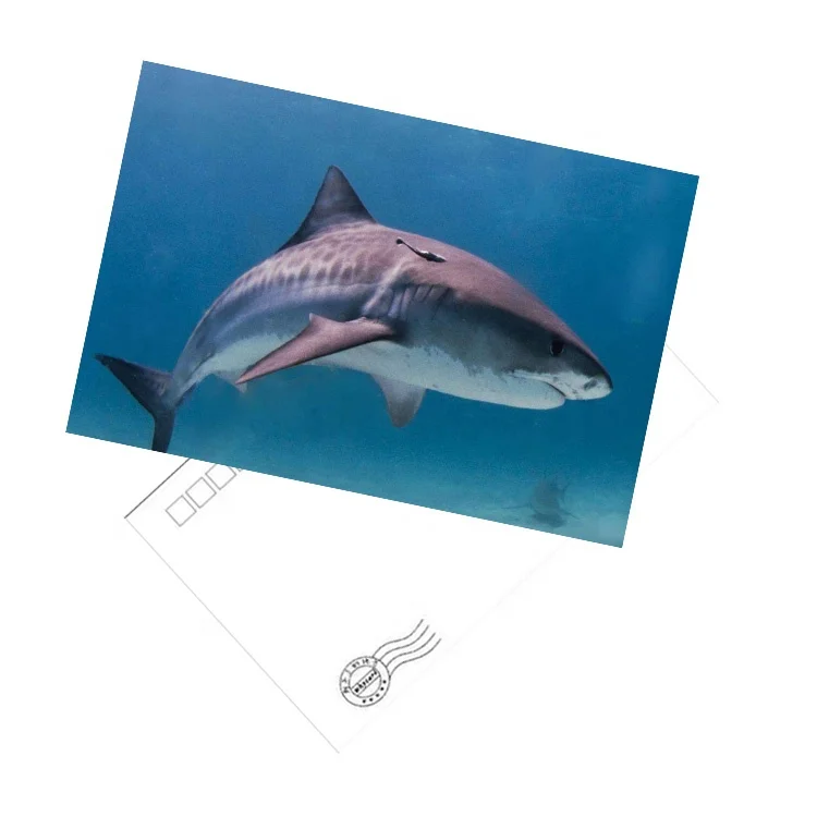 good sale gift souvenir hologram 3D lenticular printing postcards
