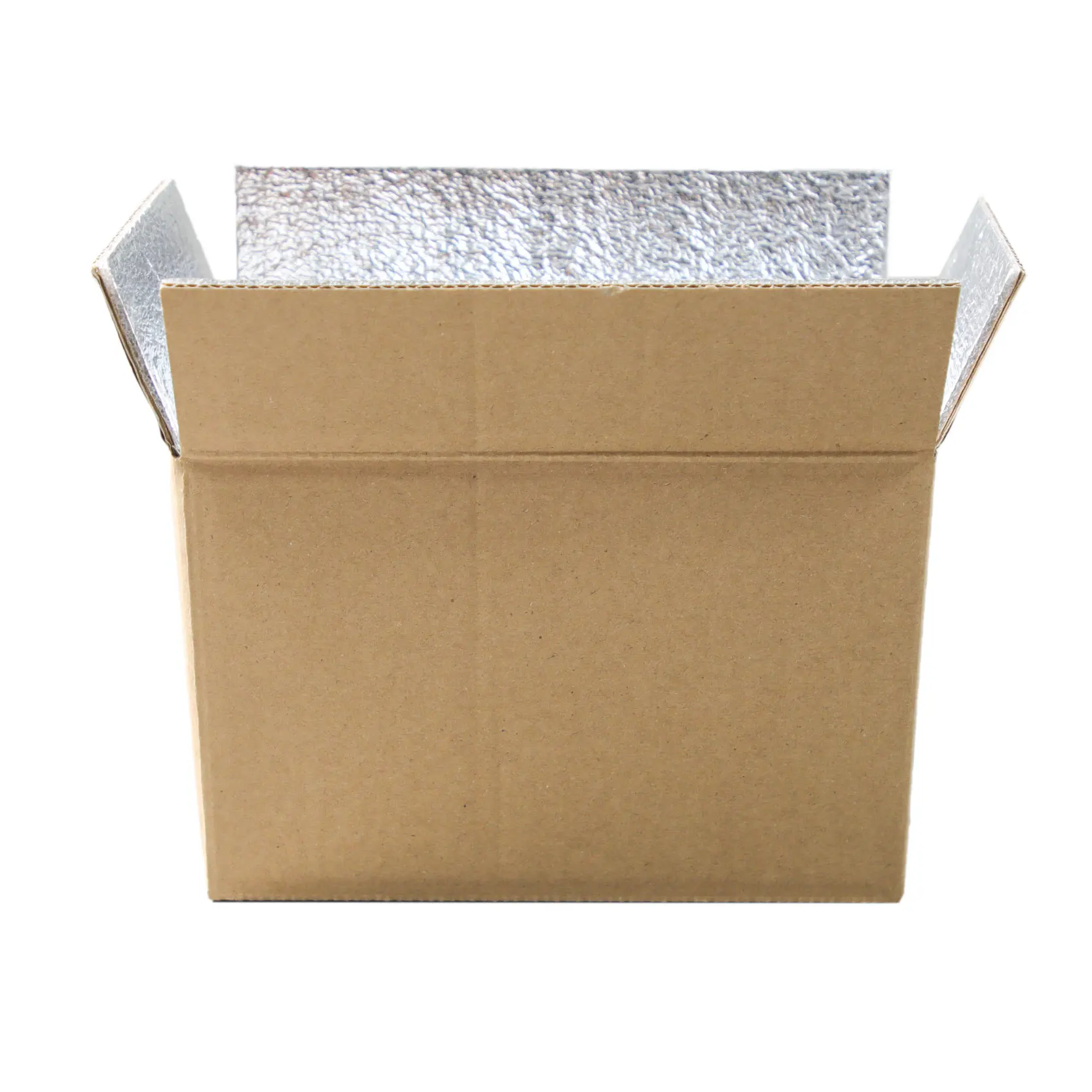 Free Design Custom Thermal Insulated Frozen Meal Package Seafood Fish Shipping Cartons