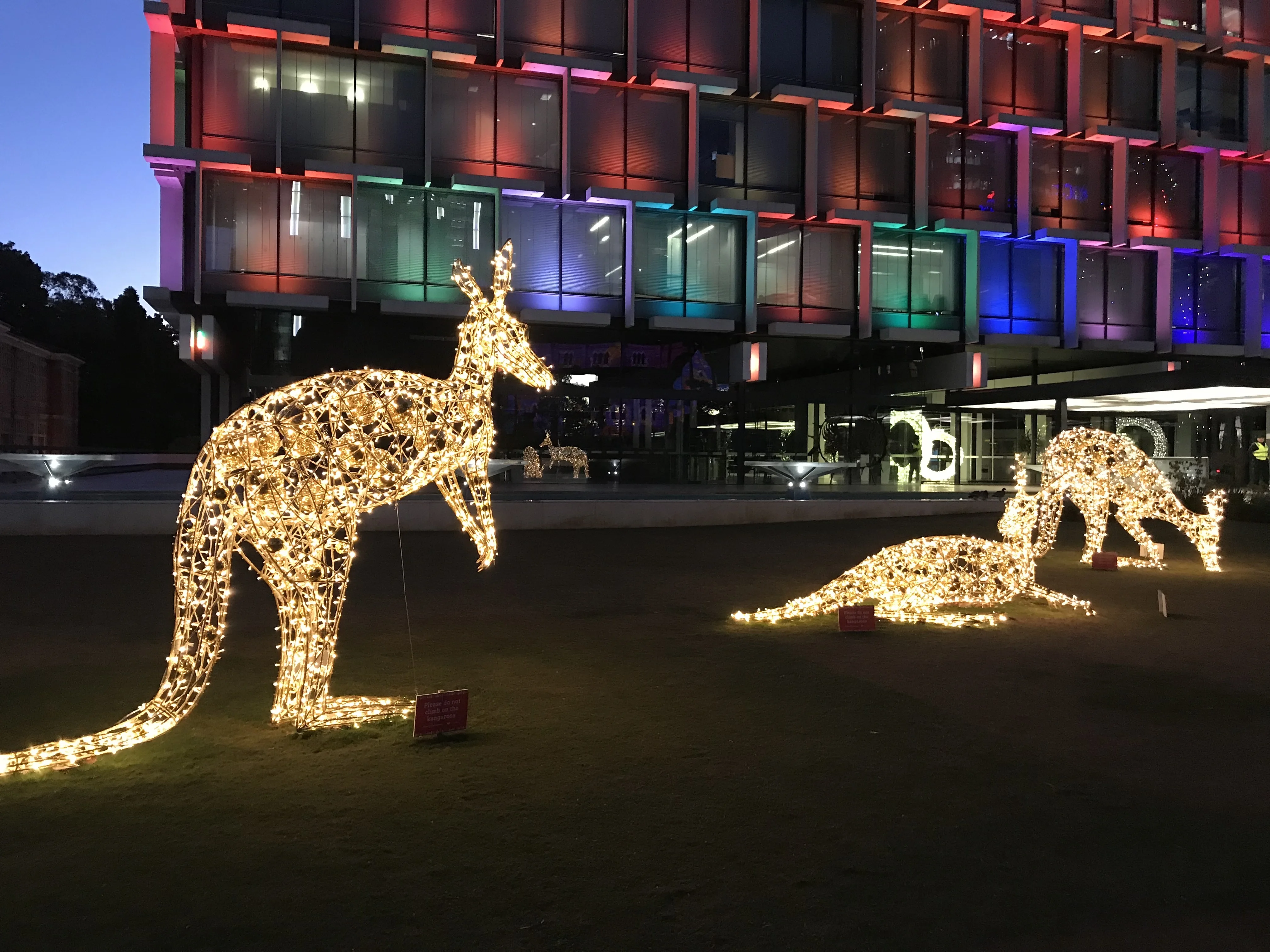 led lighted kangaroo decoration