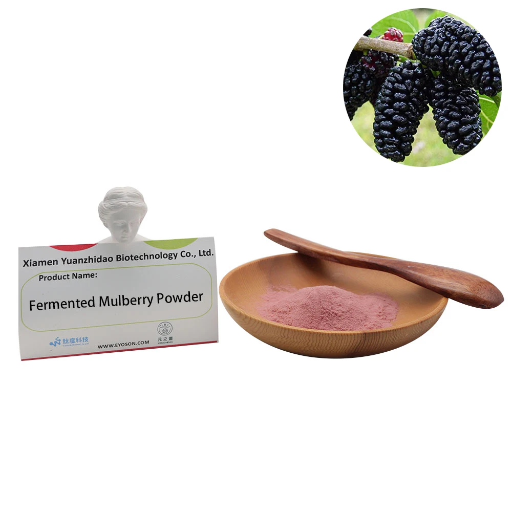 Hot Selling Super Fresh Fermented Mulberry Powder Health Care Raw Material  Mulberry Powder Nourishes The Liver And Kidney