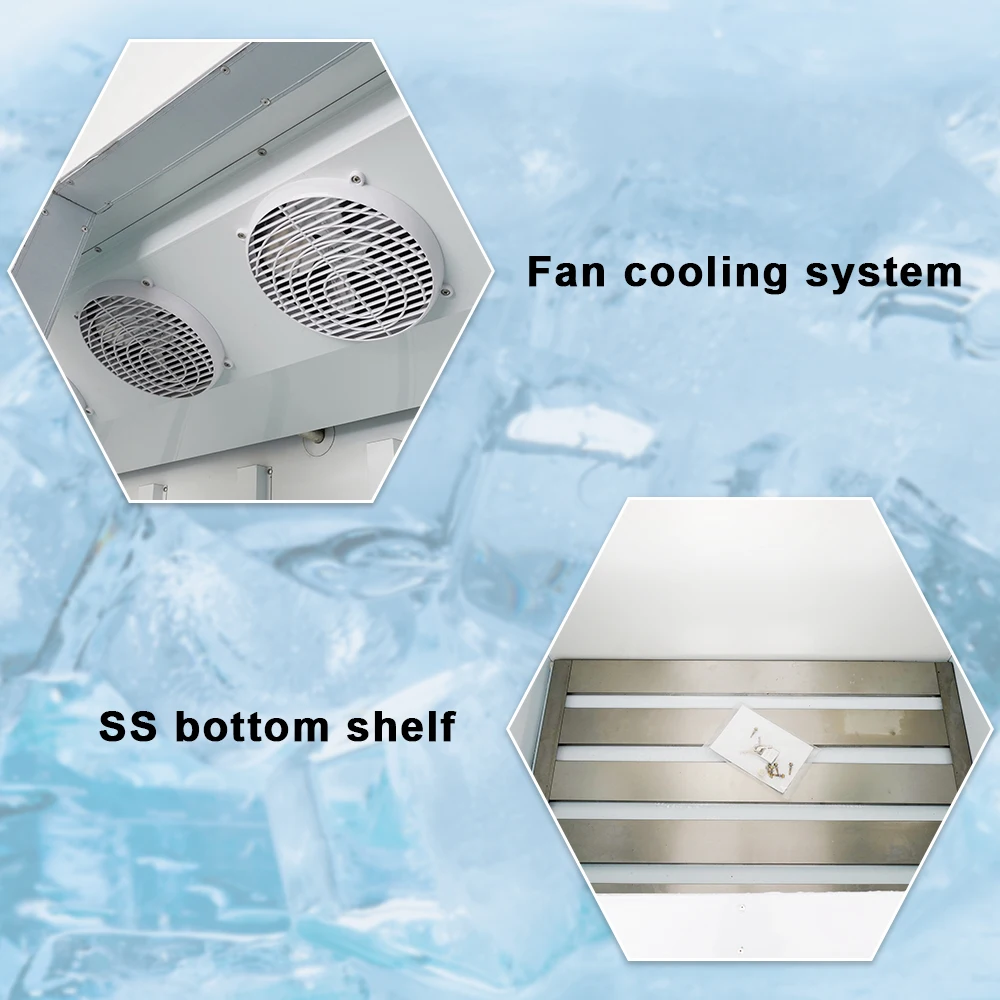 1000L Ice Storage Room Cold Room Freezer For Bag Ice