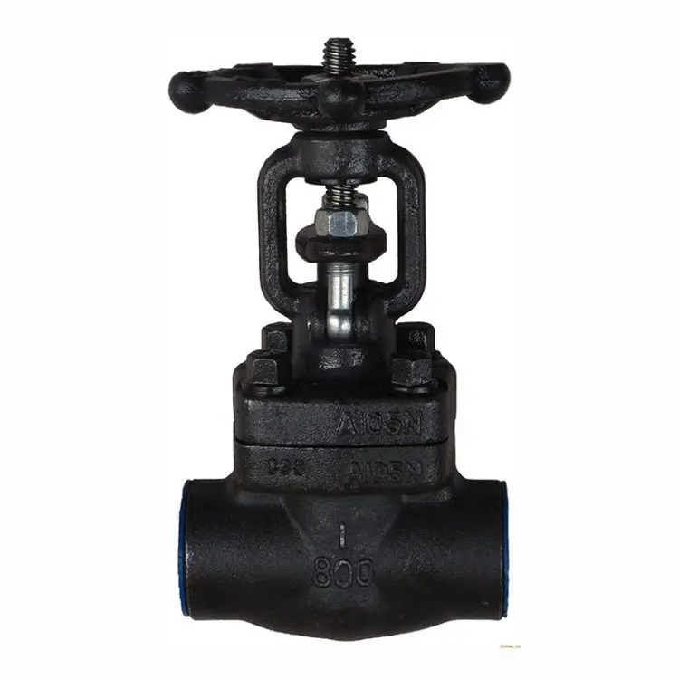 Threaded and SW Socket Weld Gate Valve Stainless Steel Forged Steel A105 F6a API 602 OS&Y CL150 Material Female Black Pipe OEM