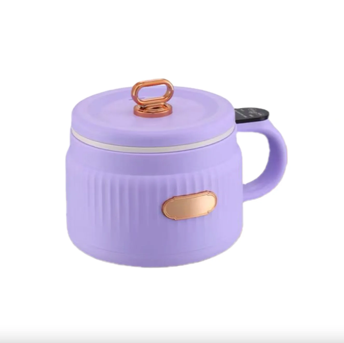 Hot Selling Multifunctional Electric Induction Cooker Ceramic and PP Material for Noodle Steaming Frying Boiling Stewing