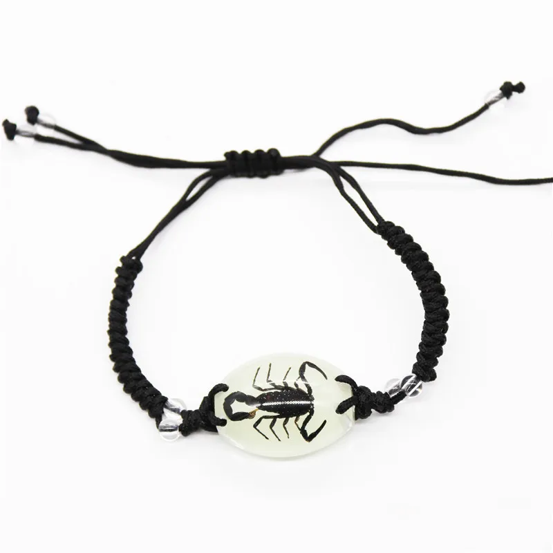 New Creative Insect Amber Knitted Bracelet Real Insect Scorpion Bracelet Insect Specimens Bracelet For Men
