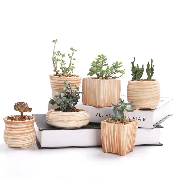 Home decoration interior ceramics pots Cactus Plant Pot Succulent Plant Pot