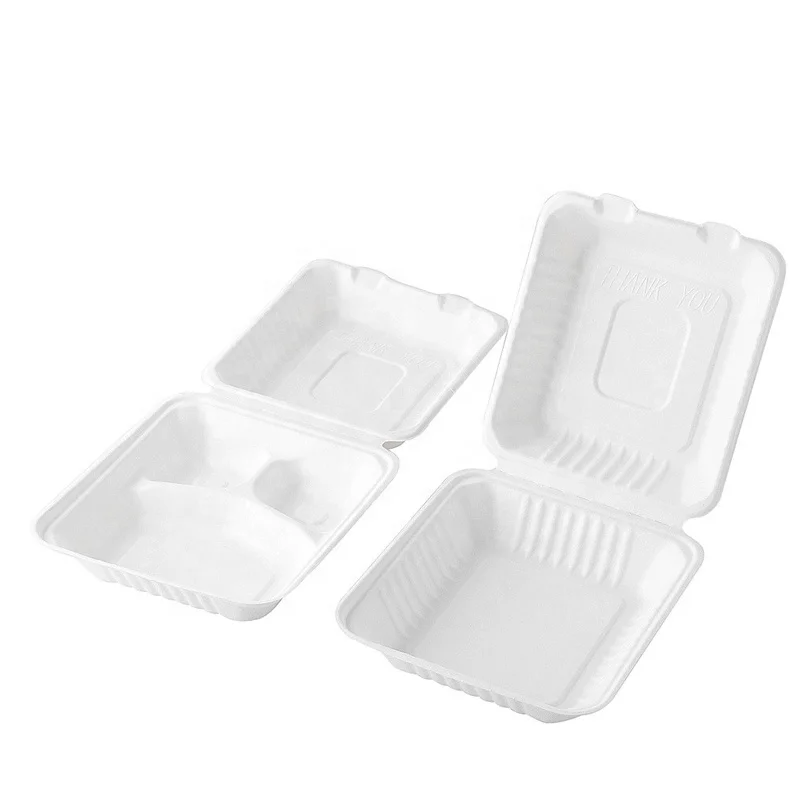 eco friendly lunch box bagasse