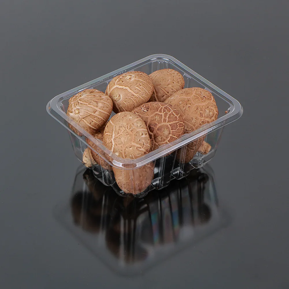 Hot Sale Transparent Fruit Box Disposable High Quality Plastic Containers