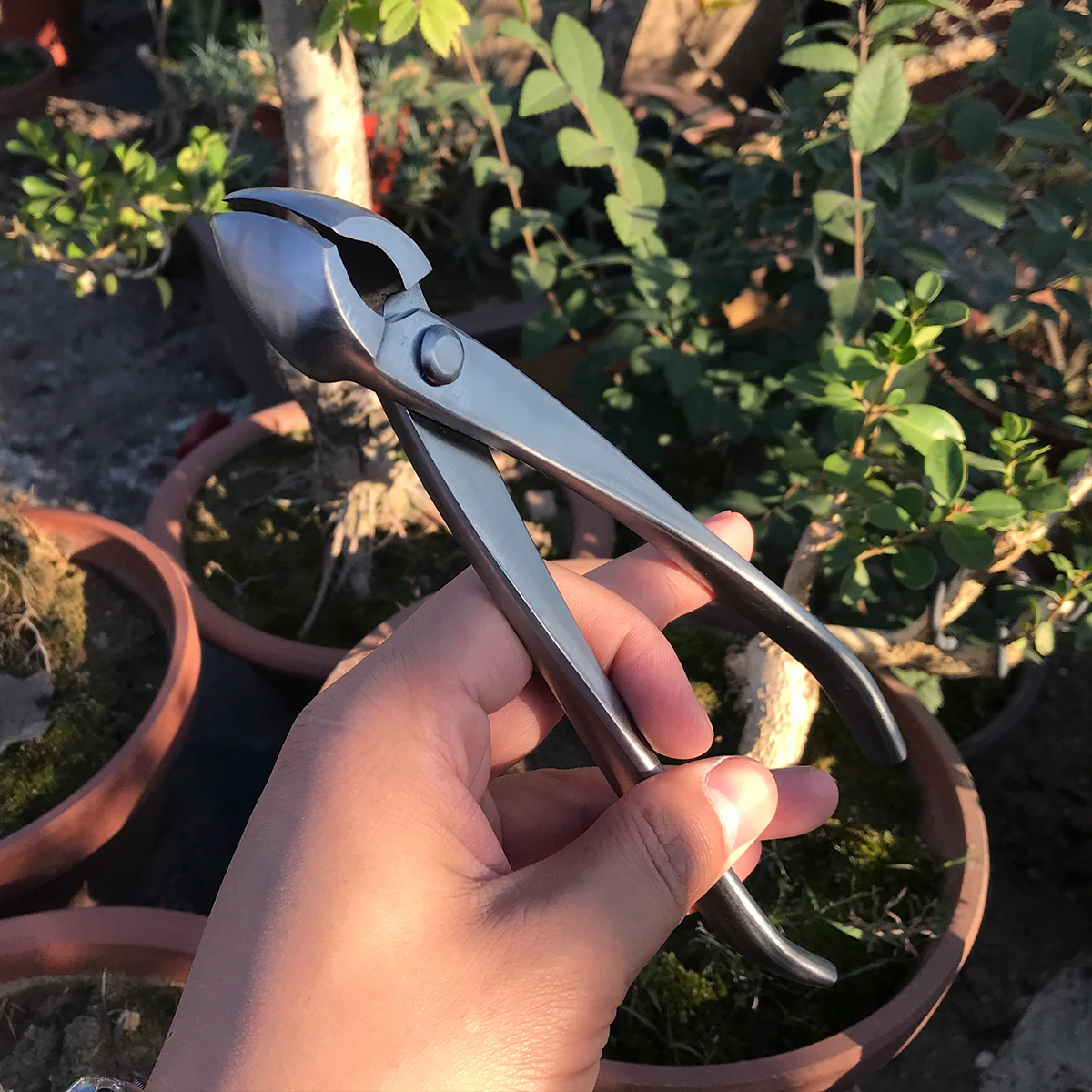 Tree pruning shears multi function cutter knob cutter +branch cutter 210mm