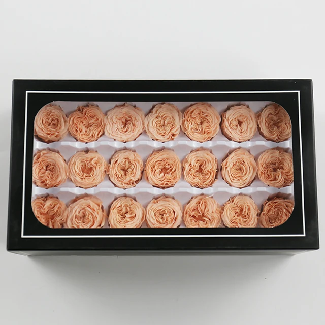 wholesale 2-3 cm small preserved roses bud long lasting real  austin  flowers head eternelle eternal forever rose
