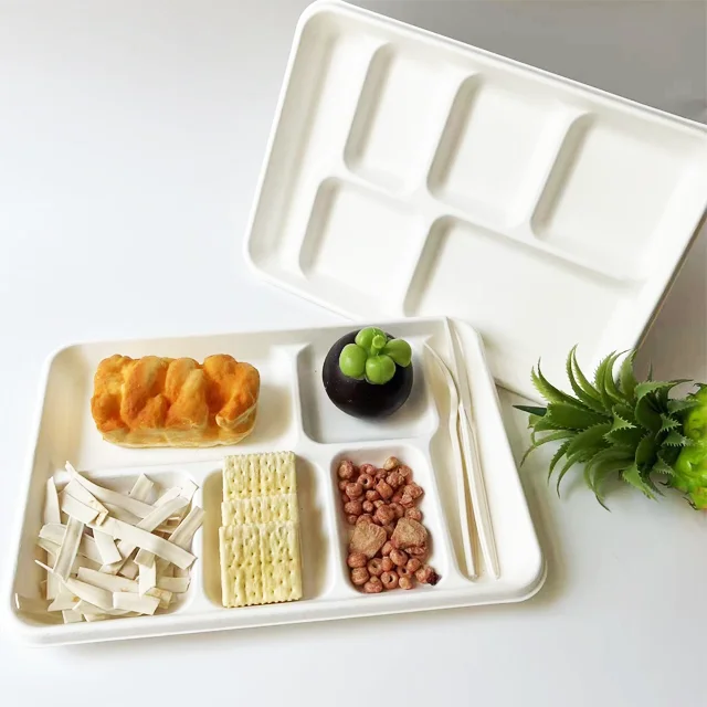 100% biodegradable bagasse 6 compartment food tray sugarcane rectangular food containers