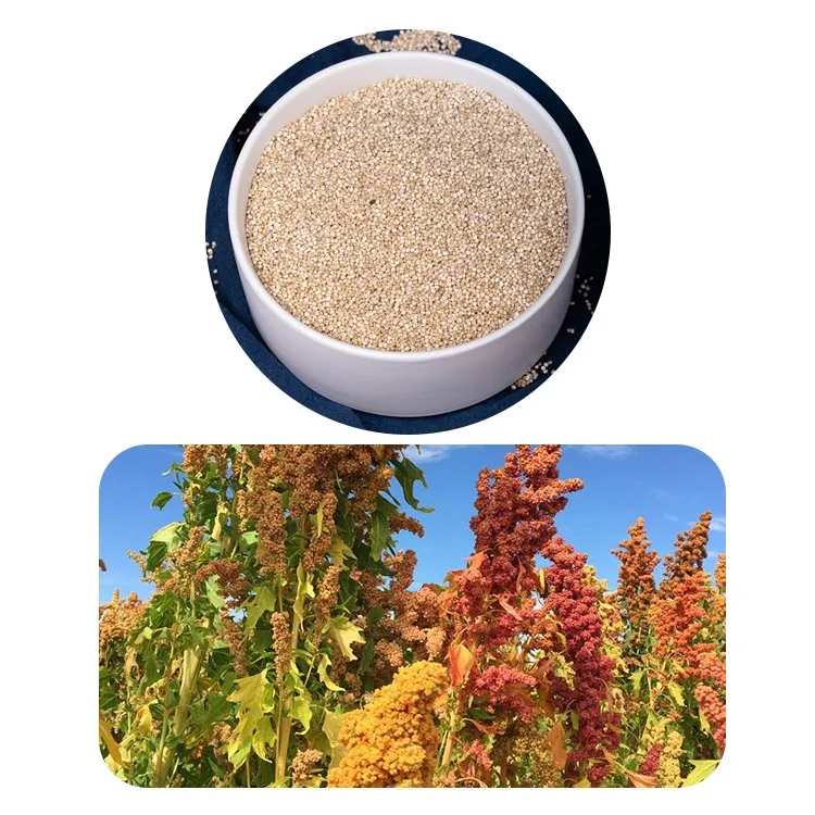 Сертифицированное USDA органическое сырье Quinoa для
