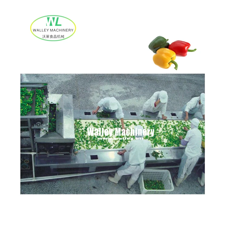 Factory Supply Price Automatic Bell Pepper Pickled Production Line Processing Red Green Pepper Machines