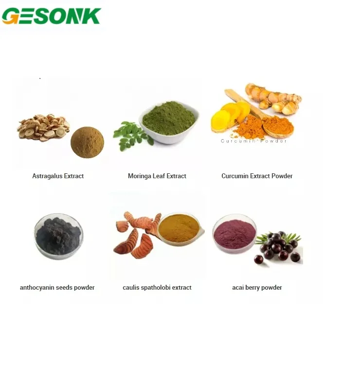 Factory supply high quality Shilajit Extract Powder 5%  50% fulvic acid Shilajit extract powder