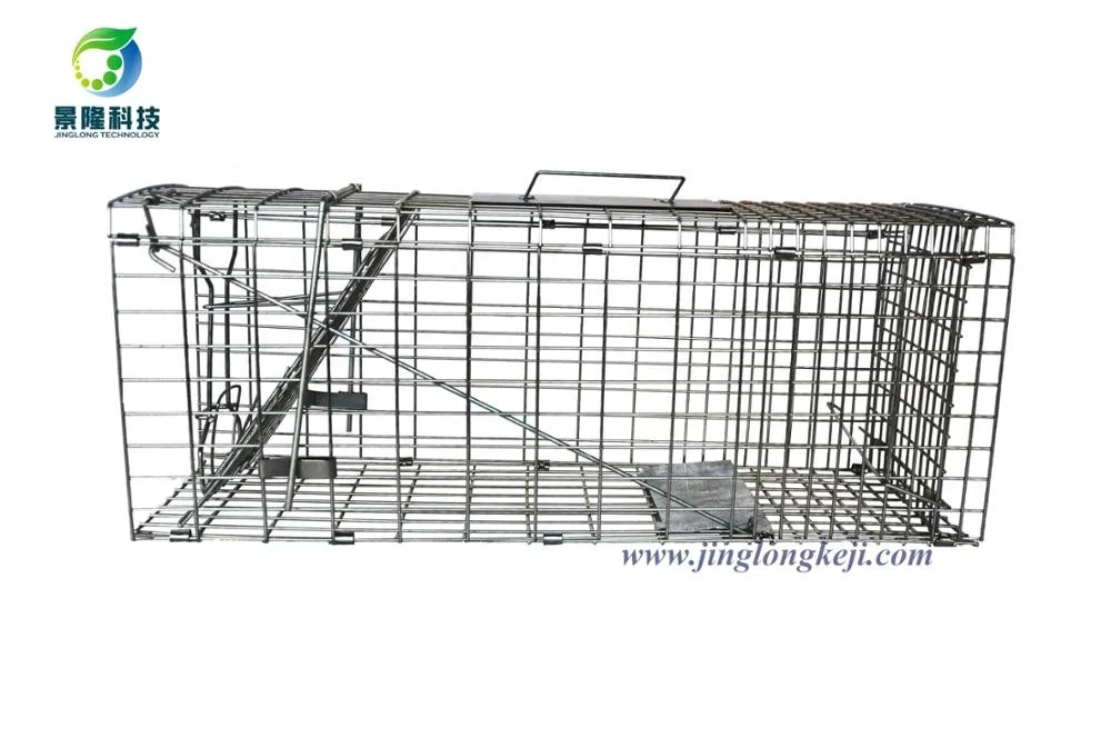 Buy Galvanized Stray Feral Cat Raccoon Living Animal Traps Cage For Sale