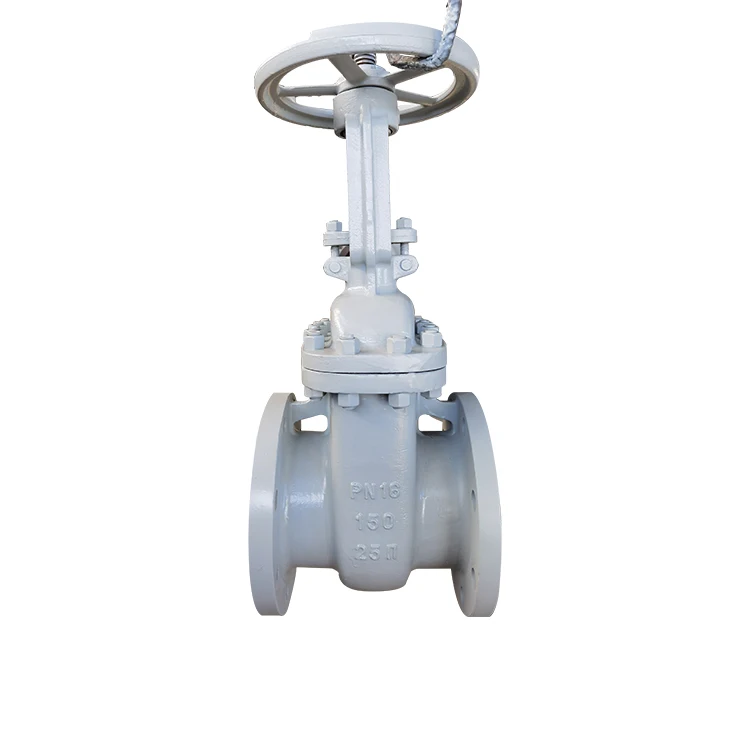 Профессиональный Высокоточный чугунный запорный клапан 1 ГОСТ-клиновидный