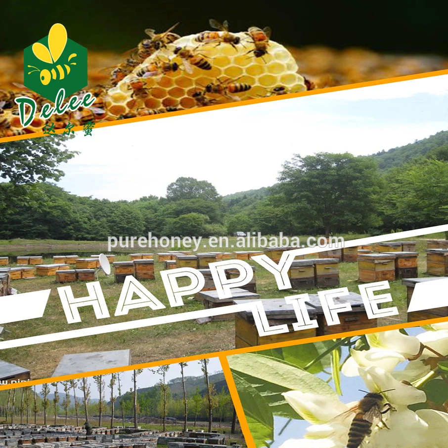 Сертификация Халяль, органический пчелиный медовый порошок