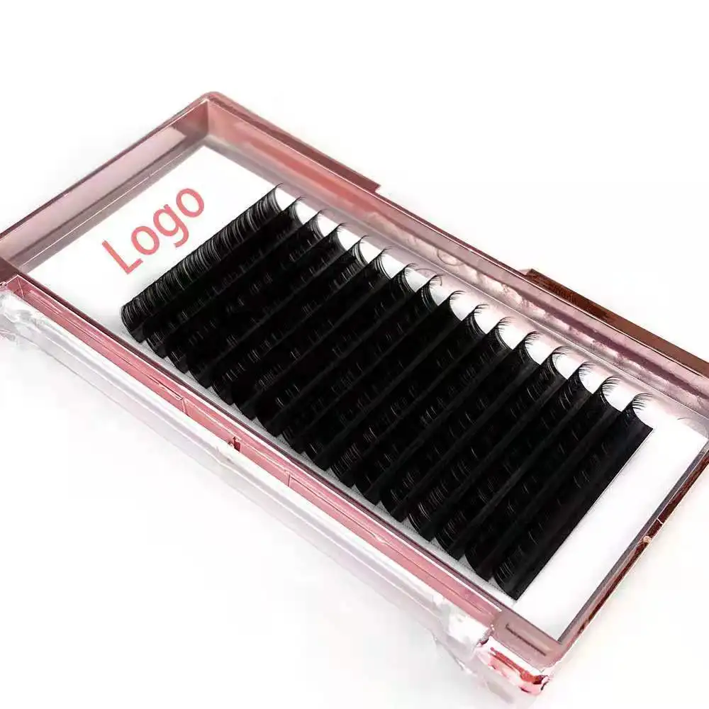 Factory Wholesale Premade Eyelash C D Curl Extension Private Label Individual Cluster Handmade Fans Eyelash Extension Korea