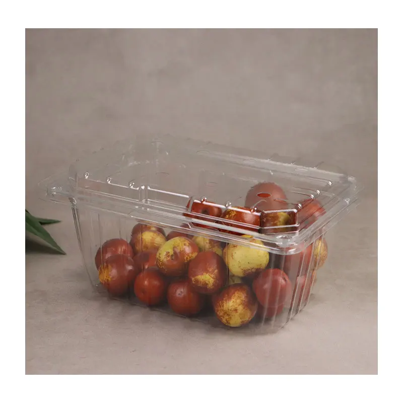 Custom PET Fruit Box Packaging Plastic Container Eco Disposable Clear Food Grade Custom Plastic Box