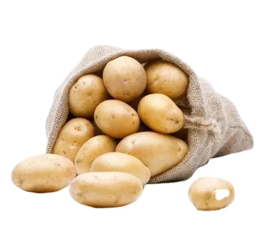 Chinese supply  New crop fresh potato factory high quality and low price
