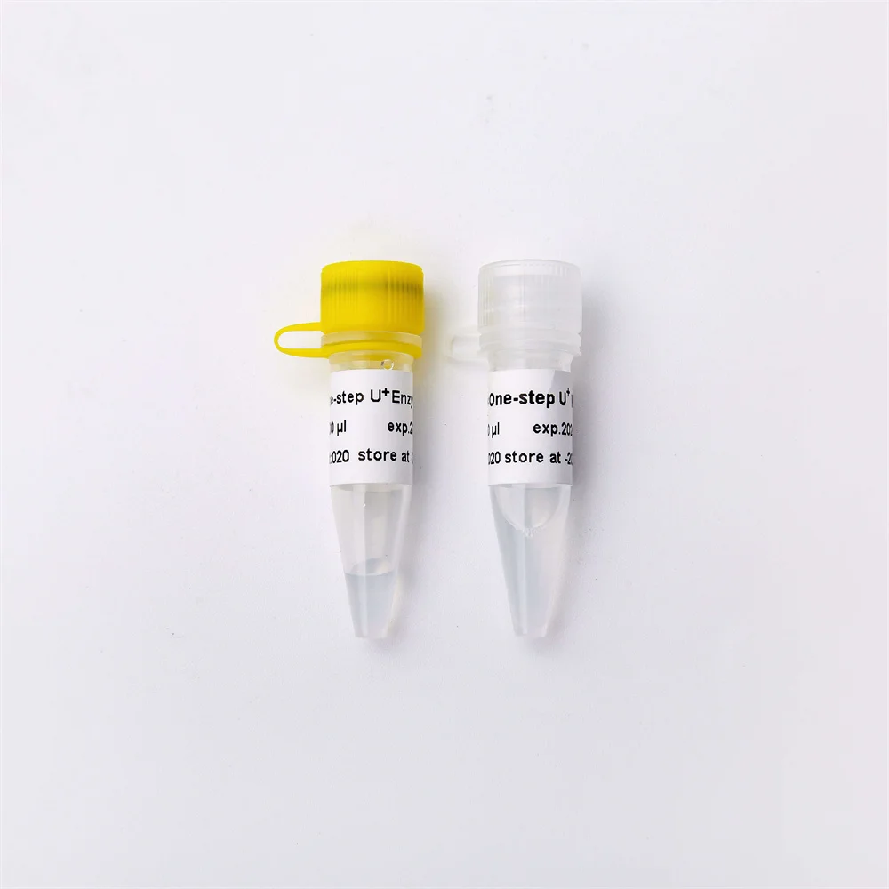 GDSBIO Highly efficient and stable One-step Probe RT-qPCR Kit V3 V5011