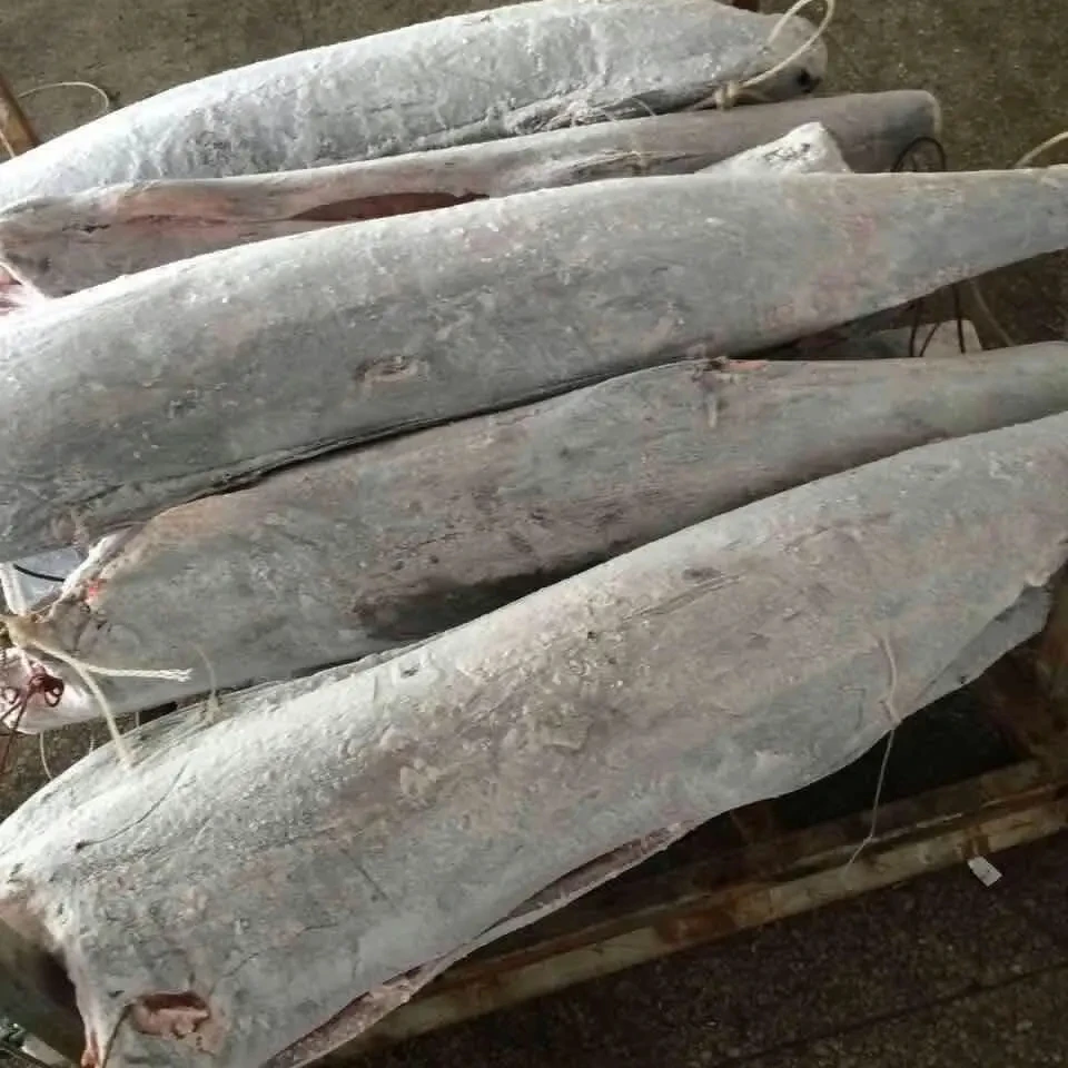 Frozen Sailfish 7 kg up 10 for Sale