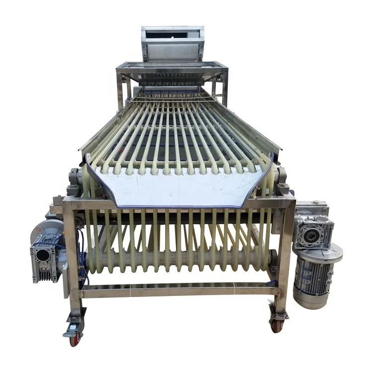 
Automatic Apple Dates Potato Blueberry Fruit Sorting Grading Machine 