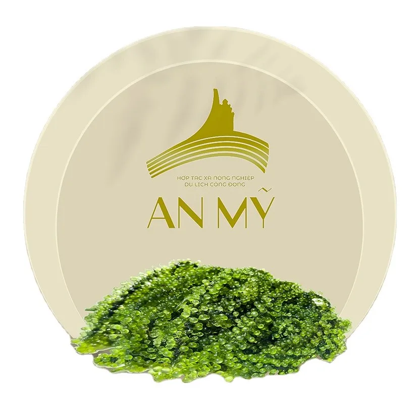 Top Grade Seaweed Product 100% Pure Natural Green Dehydrated Sea Grapes