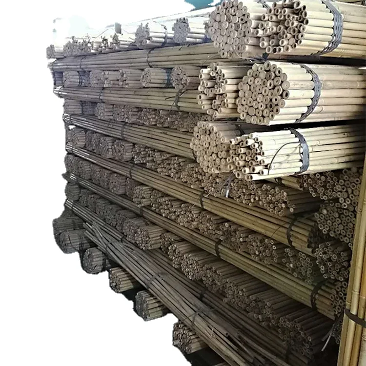 2ft 3ft 4ft 5ft 6ft Bamboo Garden Cane,Garden Bamboo Canes Cane Trellis Pea Bean Netting/bamboo Stake/plant Support