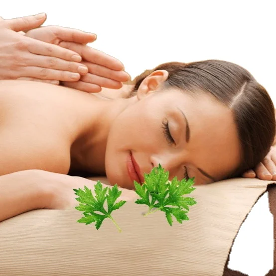 SIJI-QIAI Efficient Conditioning Expert Moxibustion Royal Moxa Essential Oil