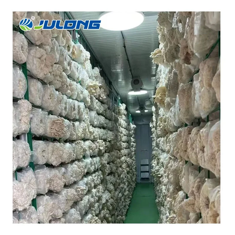 Smart farm shipping container farm oyster farming equipments mushroom container greenhouse supplies