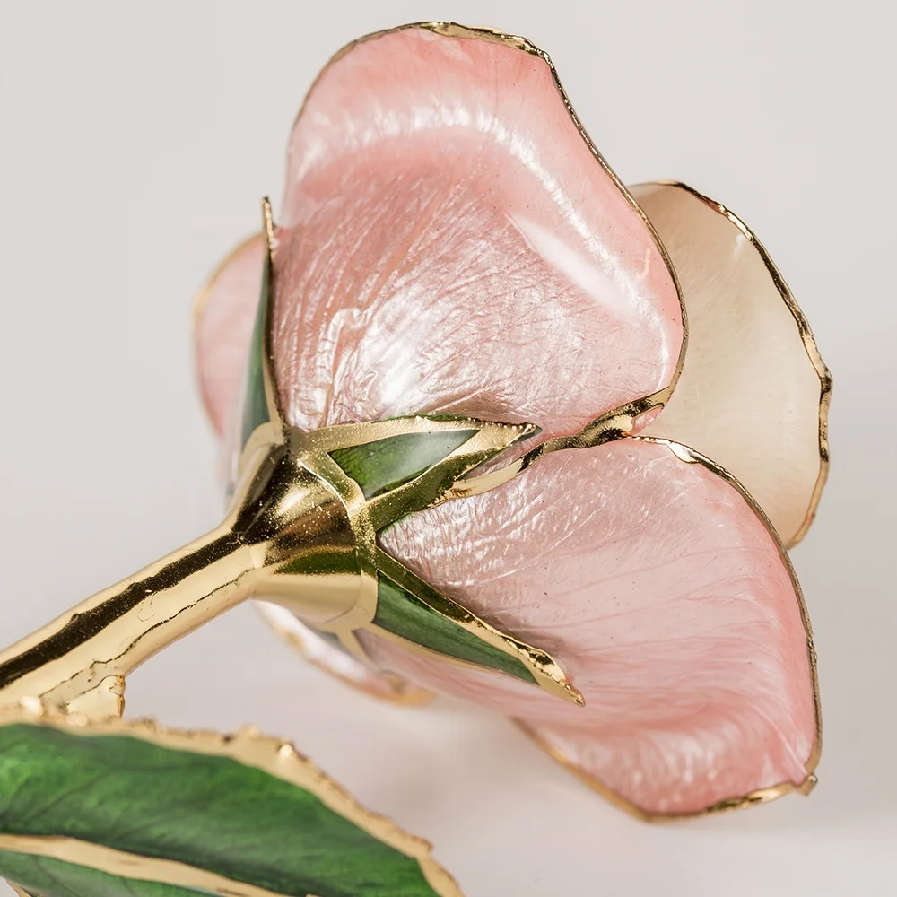 2020 Upgraded 24K Gold Dipped and Trimmed Real Preserved Fresh Eternal Rose Flower wholesale preserved roses factory