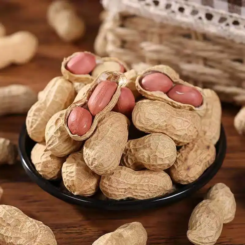 Cheap Price Dried Groundnut Bulk Raw Peanut In Shell
