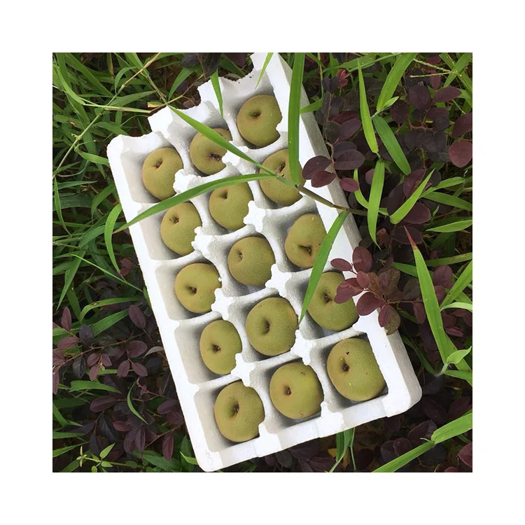 China great quality Hot sale Premium Fresh Kiwi fruit
