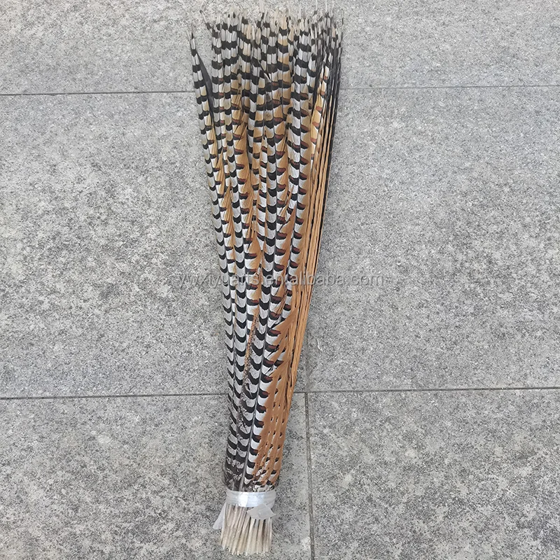 Natural Pheasant Feathers 10-160 cm Long Reeves Pheasant Tail Feathers for Carnival